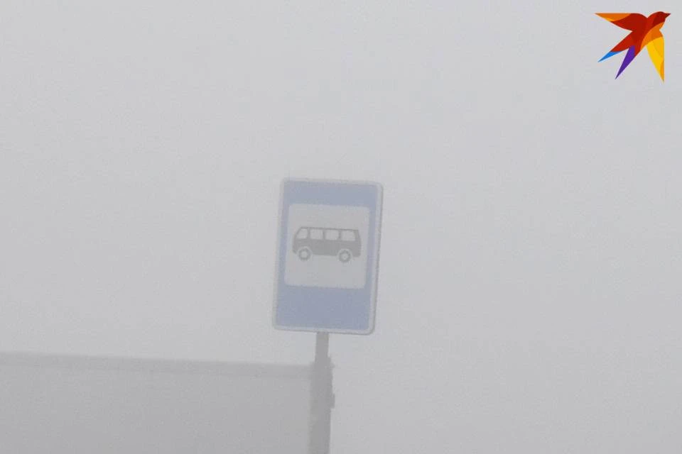 Пострадавшая женщина стояла на остановке общественного транспорта.