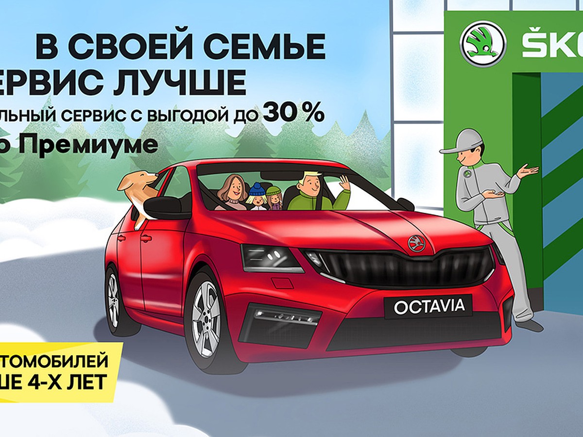 Шкода автопремиум. У вас автомобиль Шкода возьмите запчасти. Premium service.