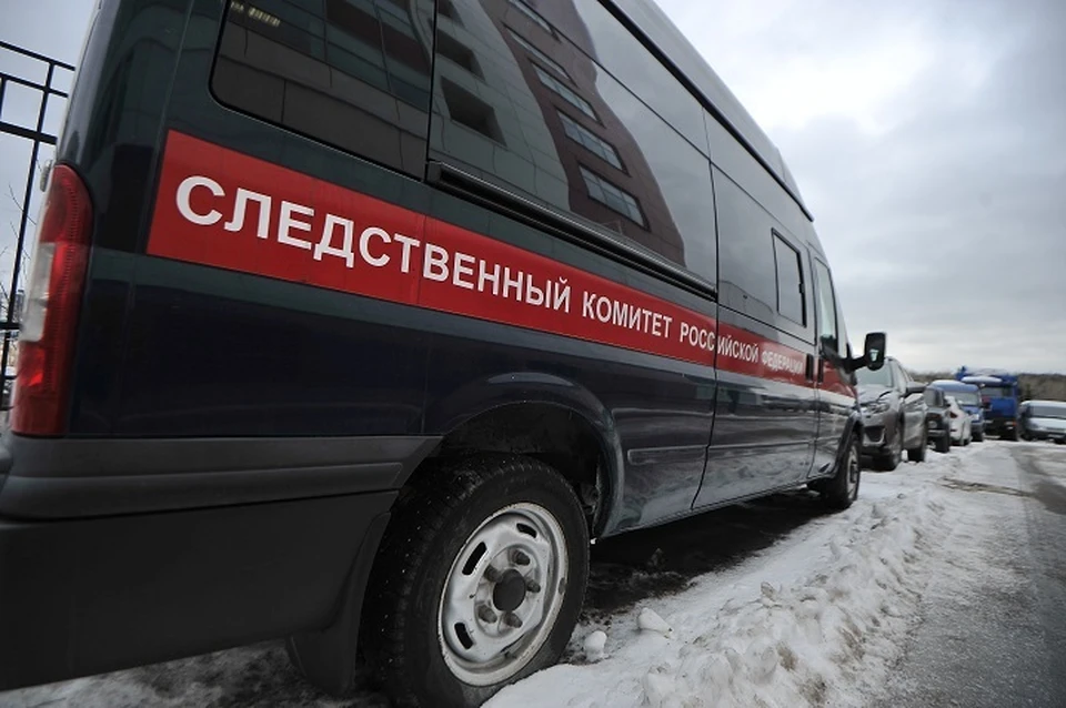 По решению суда за свой поступок она должна заплатить штраф в размере 15 тысяч рублей