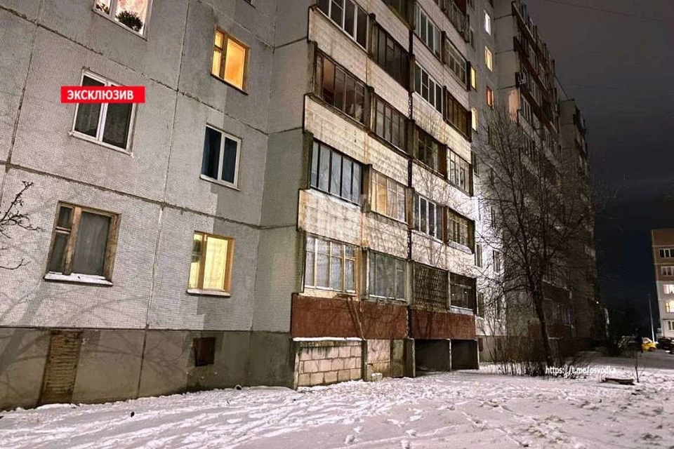 Фото: «Псковская сводка»