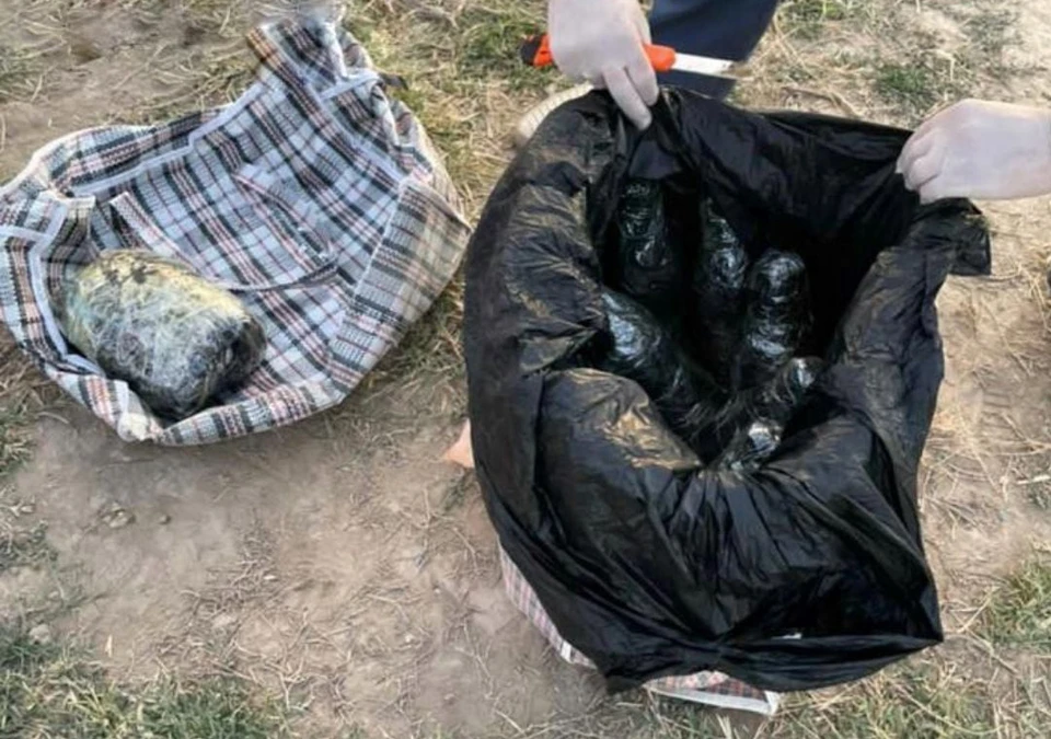 Наркотики поставляли из Таджикистана