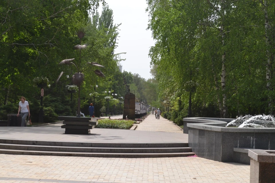 Тополи особенно распространены в промышленном Донбассе