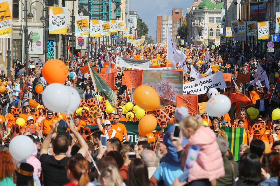 День тигра Владивосток празднует ежегодно. Фото: пресс-служба администрации Владивостока