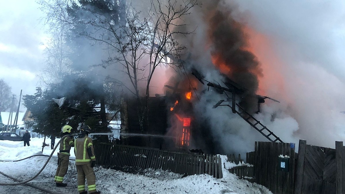 За новогодние праздники во Владимирской области погибло 12 человек - KP.RU