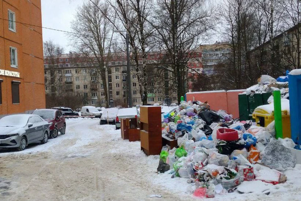 1 января в Петербурге официально началась мусорная реформа.