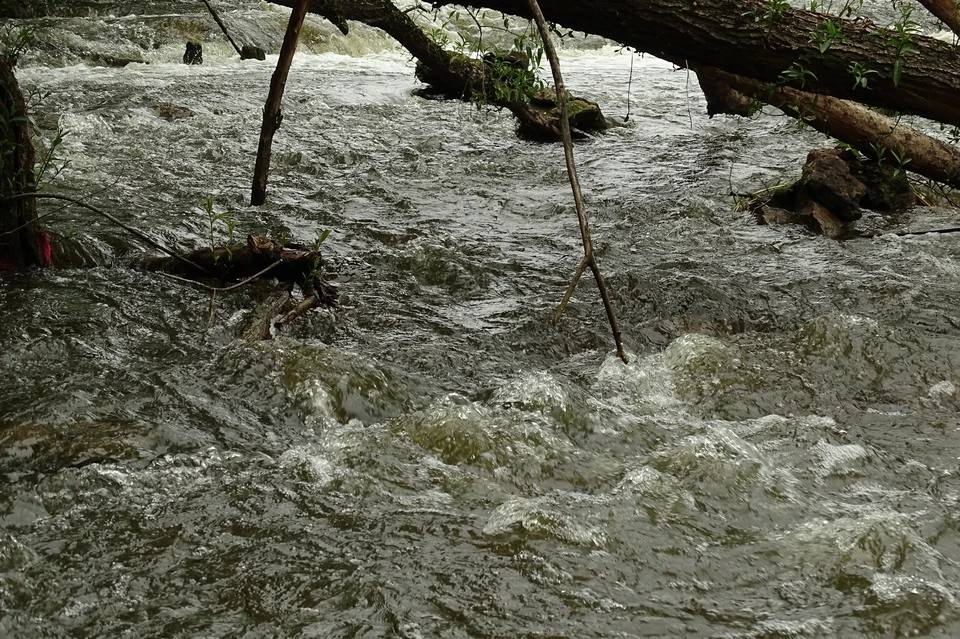 Также в Липецкой области продолжат расчищать реки