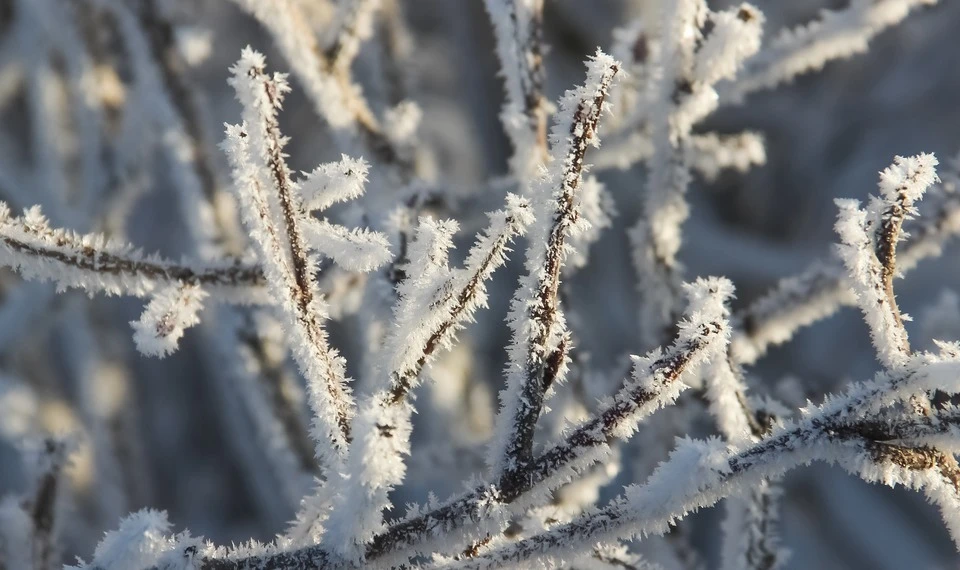 Морозы задержатся в Приморье на весь январь.