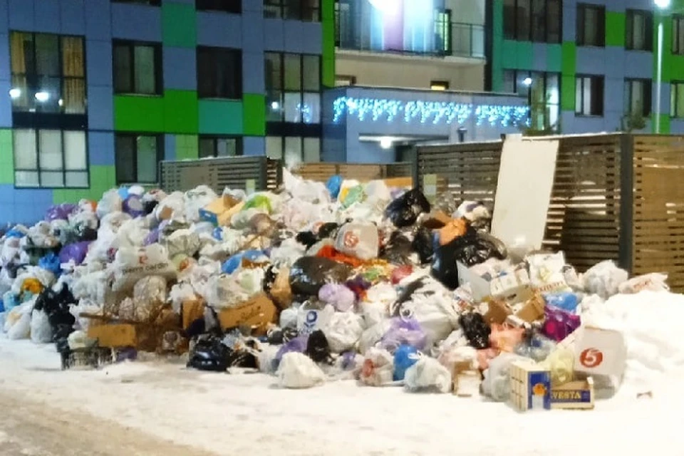 Так ситуация выглядела до приезда мусоровозов. Фото: предоставлено "КП-Петербург".