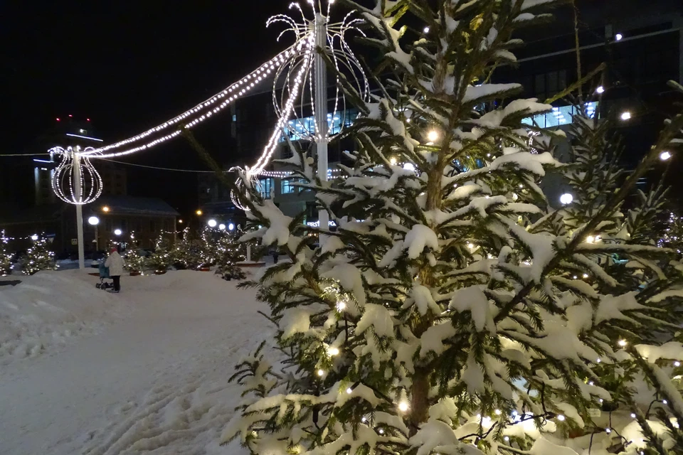 В Липецке снежно и морозно