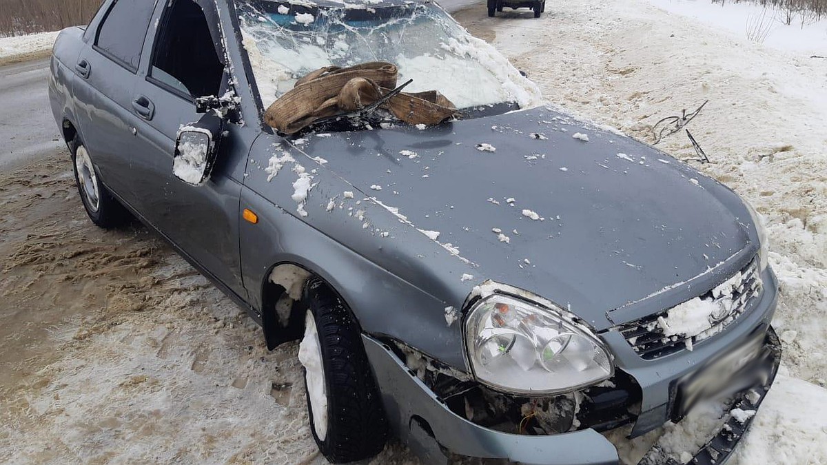 В Тамбовской области водитель «Lada Priora» опрокинулся в кювет - KP.RU