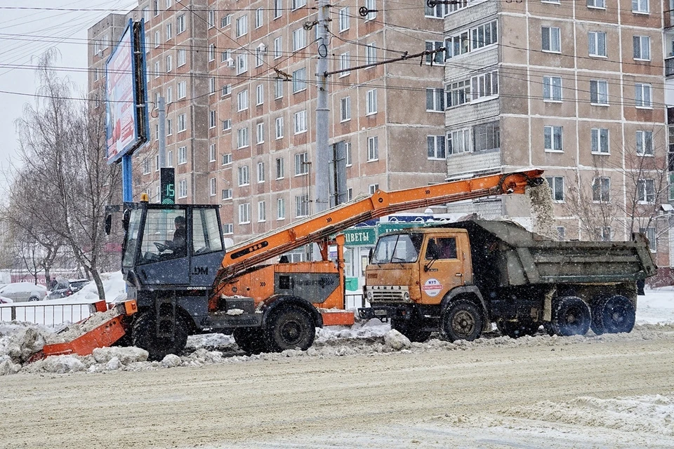 Фото: Вячеслав Коваленко