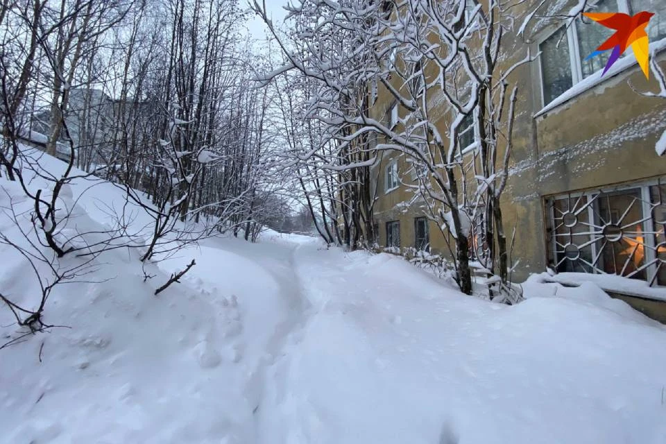 Кольский полуостров в январе засыпало снегом.