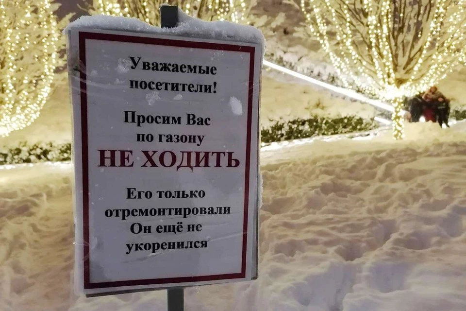 В парке Галицкого краснодарцам запретили кататься на санках - это может повредить газон.