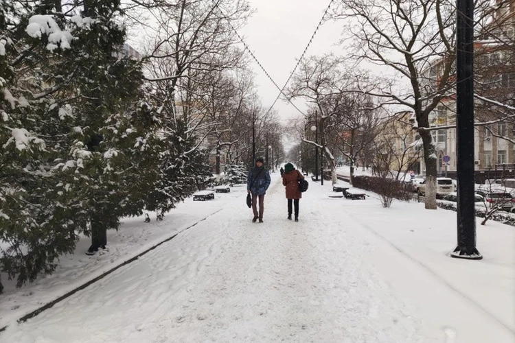 Климатолог рассказал, грозит ли Ростовской области снежный апокалипсис Краснодара