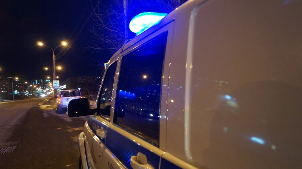 Первый похищенный автомобиль был изъят полицейскими из пункта разбора, а второй объявлен в розыск. Фото: Владислав Пирогов