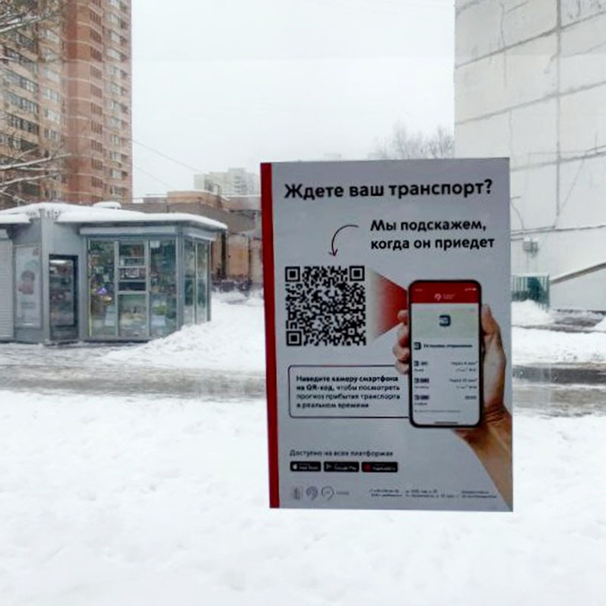 Московские остановки оснастили QR-кодами с расписанием нужного маршрута -  KP.RU