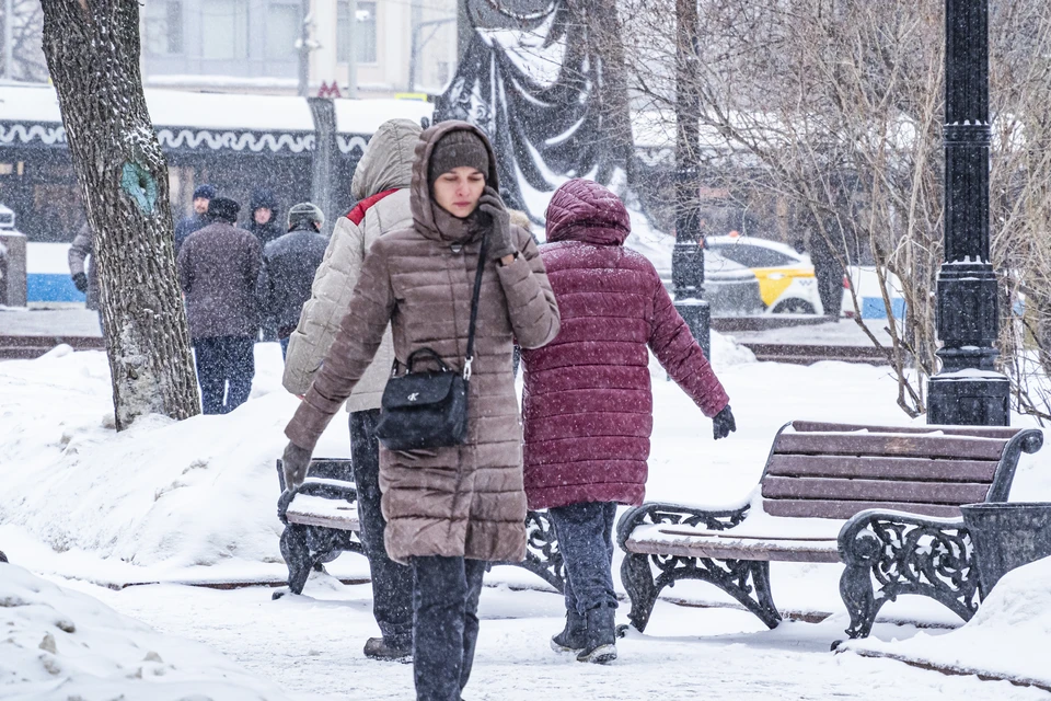 Высота сугробов в Москве из-за циклона "Надя" может достичь рекордных значений