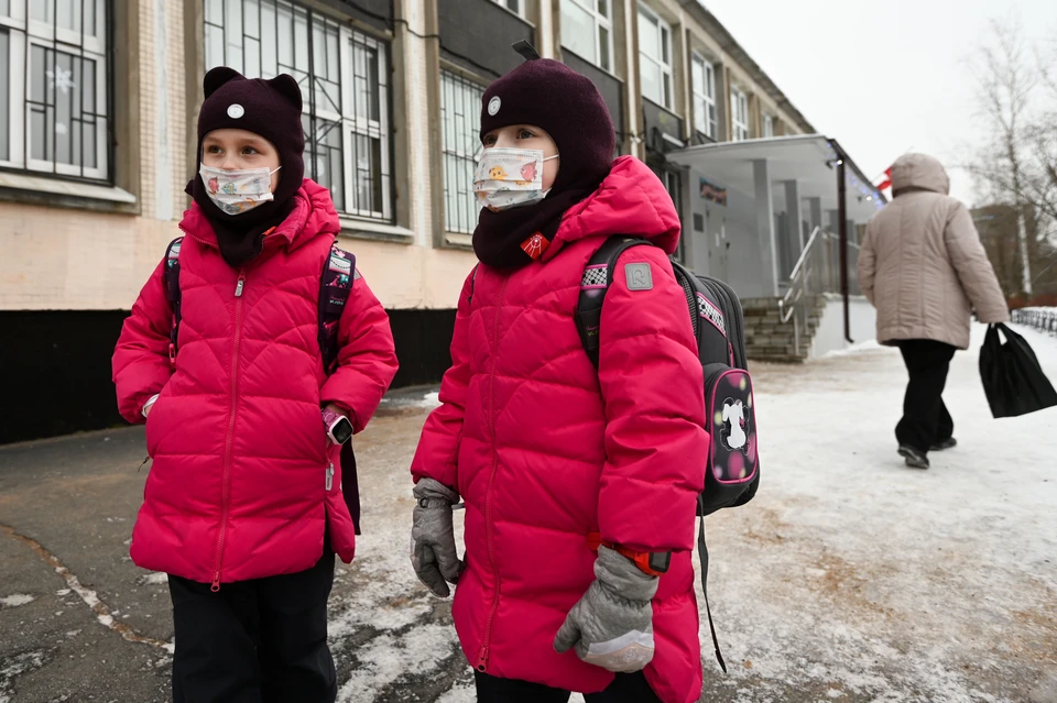 74 класса и 10 групп в школах и детсадах Братска закрылись на карантин из-за коронавируса