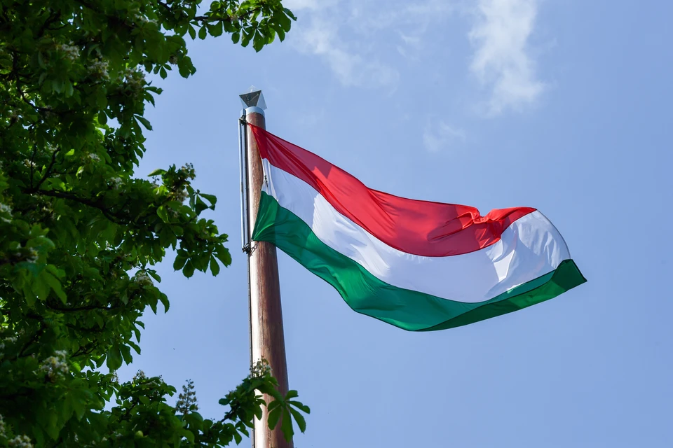 Власти Венгрии заблокировали участие Украины в киберцентре НАТО