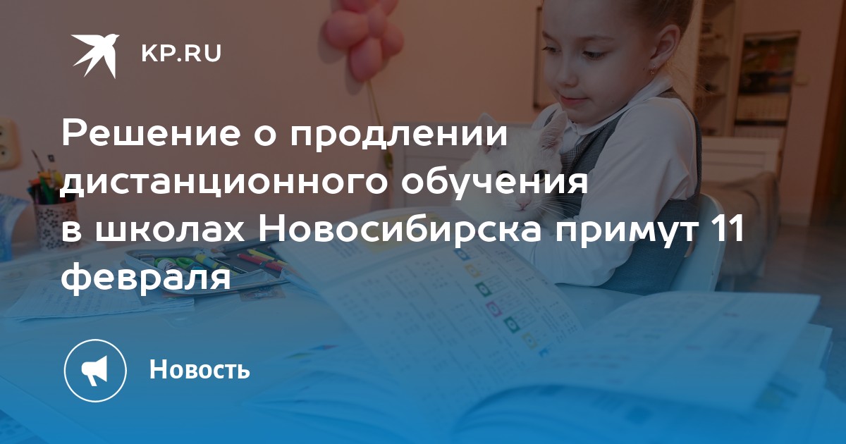 Продлят ли детям. СДО МБОУ СОШ 146 Новосибирск. Продлят ли Дистанционное обучение в Чувашии. Дистанционное обучение в Новосибирске картинки для школьников. Дистанционное обучение в Новосибирске.