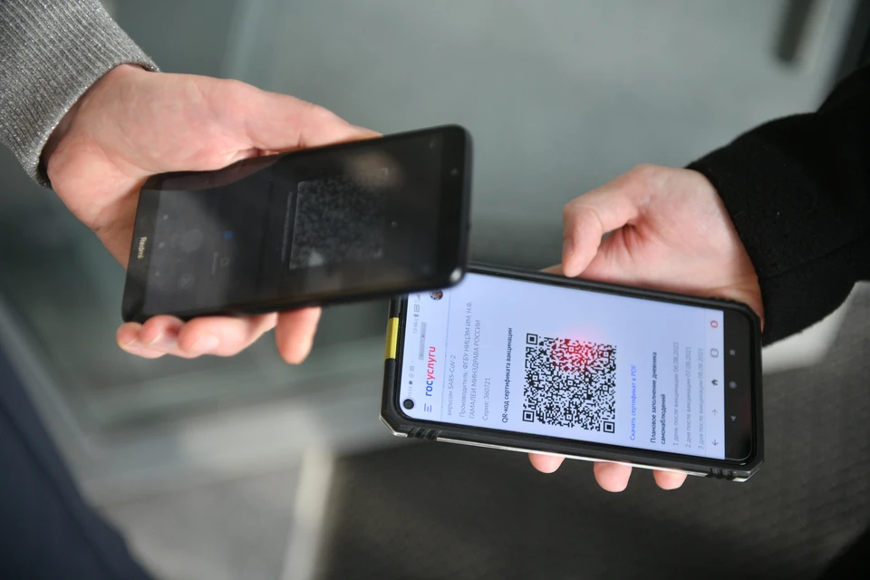 Фальшивые QR-коды могут обойтись курганцам дороже, чем они думали
