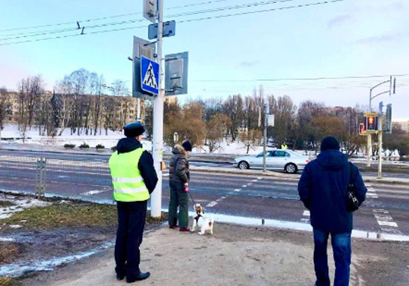 Акция ГАИ проходила три дня