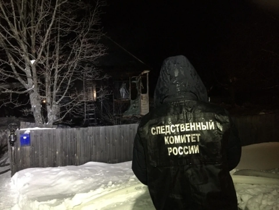 Фото: пресс-служба СУ СК России по Костромской области