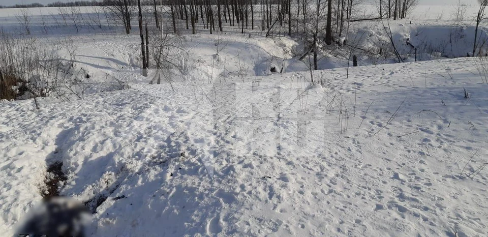 Появилось фото с места обнаружения трупа, изъеденного лисами в Ухоловском районе