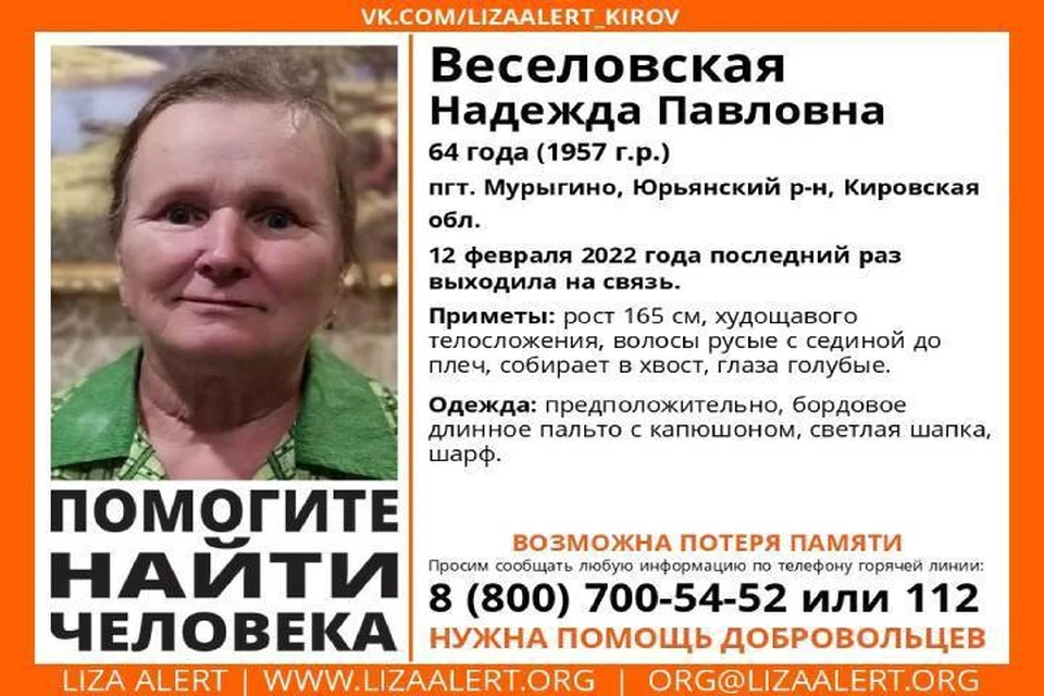К поискам пропавшей женщины привлечены волонтеры и неравнодушные граждане. Фото: vk.com/lizaalert_kirov