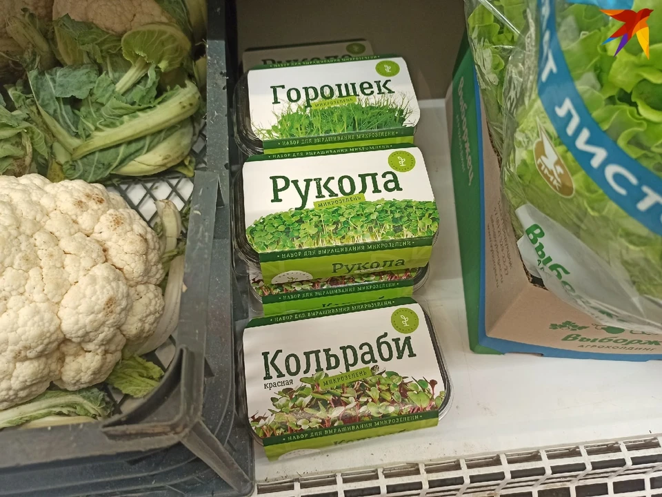 Микрозелень стала продаваться в продуктовых магазинах Пскова