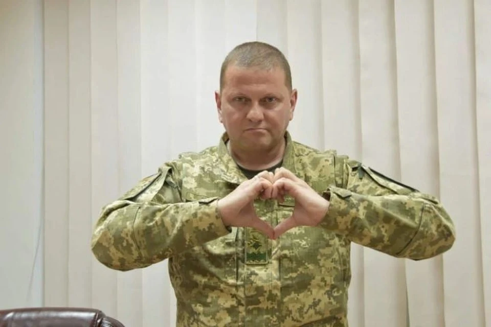 Главнокомандующий ВСУ генерал-лейтенант Валерий Залужный Фото: Facebook Валерия Залужного