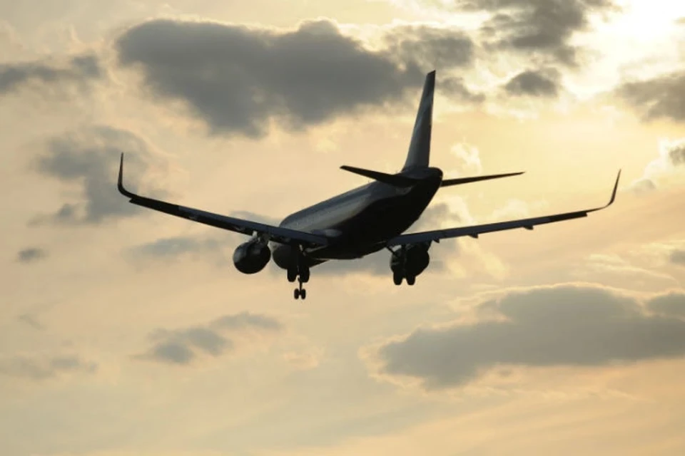 Следователи проверят факт смерти пассажира на борту самолета в Иркутске