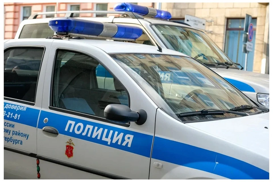 Начальника полиции в Приморском районе Санкт-Петербурга уволили