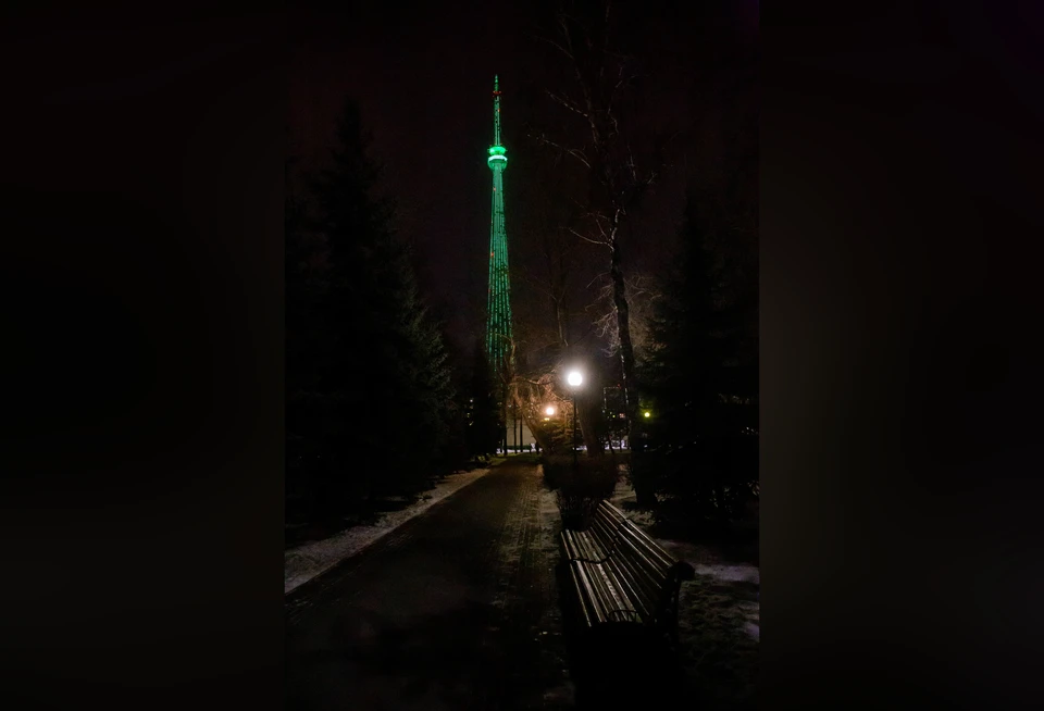 Ярким цветом поздравят всех мужчин! Фото: Дмитрий Степанов