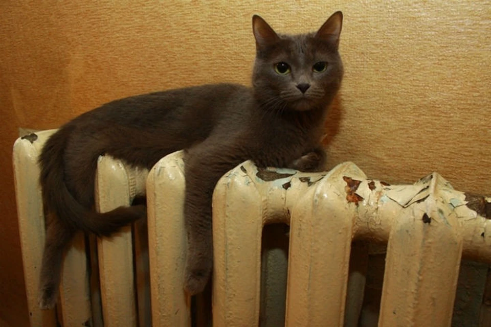 На 11 улицах Иркутска 24 февраля отключат отопление