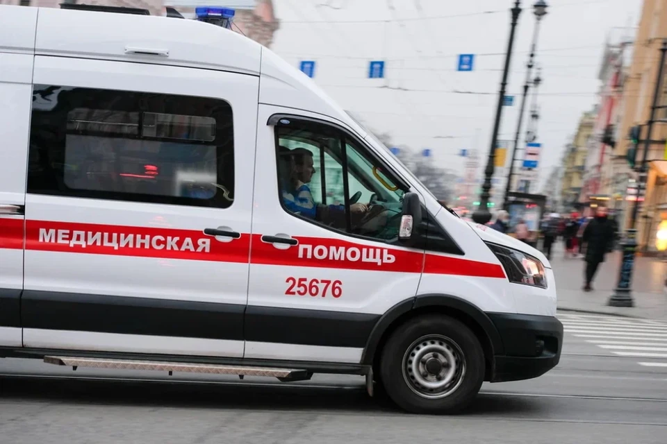 Под Петербургом собака прокусила ребенку руку.