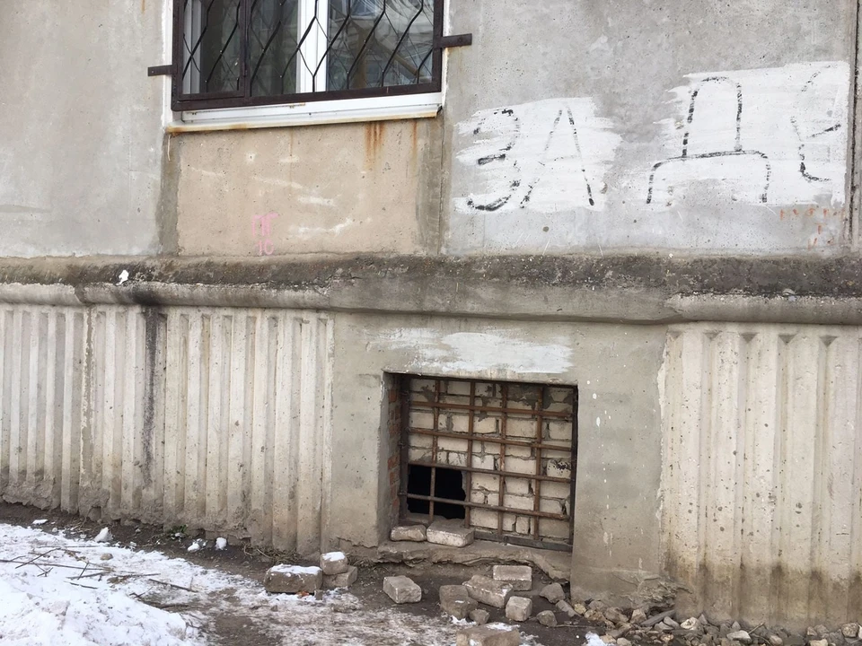 Из подвала жилого дома 15в по улице Интернациональной в Рязани вызволили двух собак. Фото: Ирина МИНАЕВА