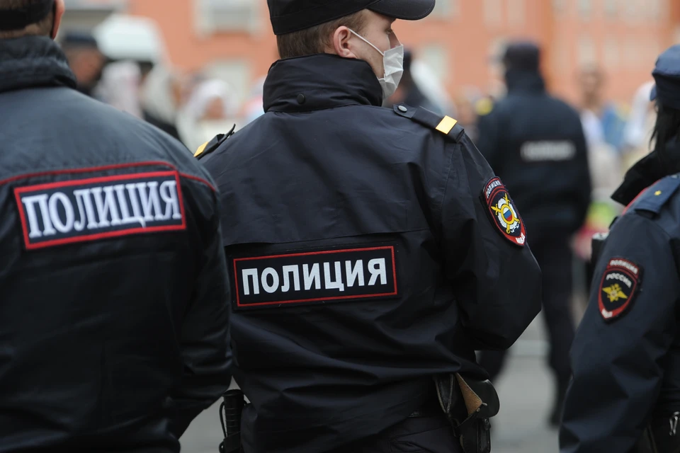 В Петербурге задержали подозреваемого в изнасиловании девочки