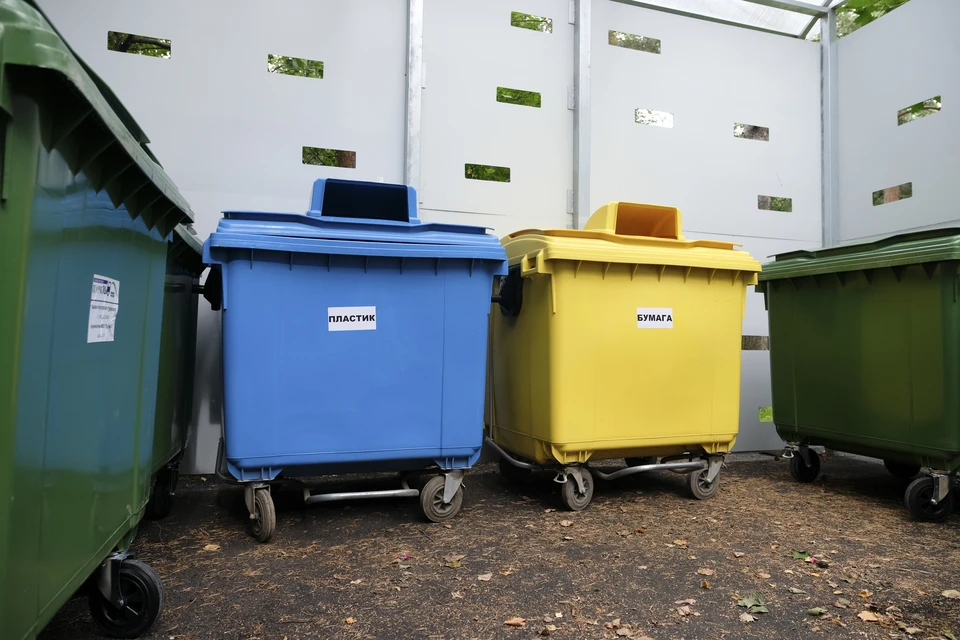 Почти 1,5 тонны опасных отходов собрано экологами за неделю в Петербурге