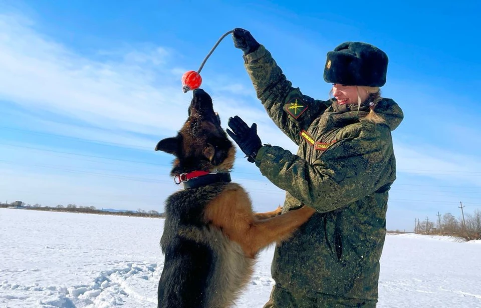 Хабаровские экологи показали, как готовят собак к конкурсу «Верный друг». Фото: Восточный военный округ