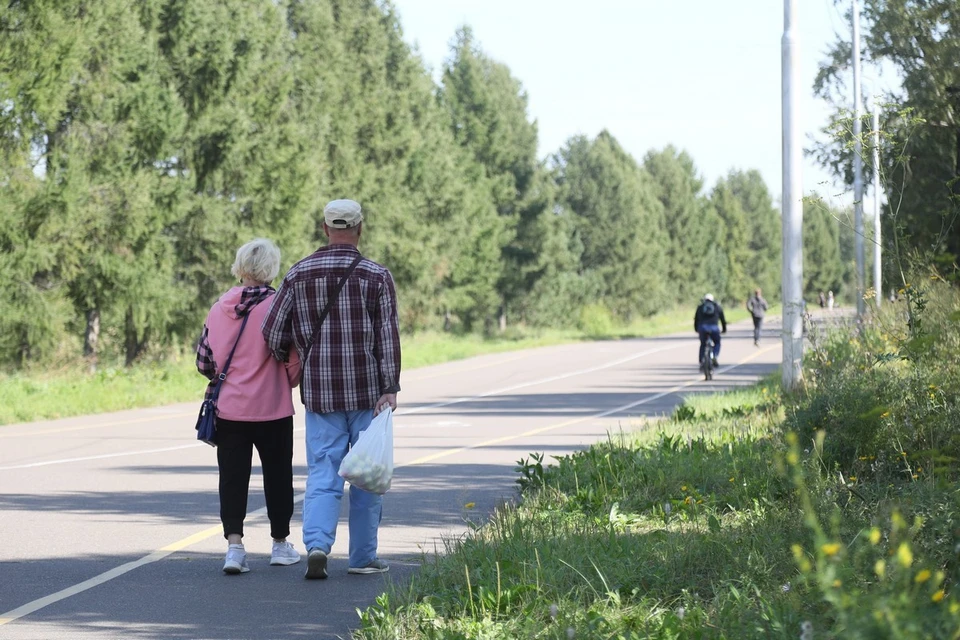 Власти Красноярска подали в суд на подрядчика, благоустраивавшего остров Татышев