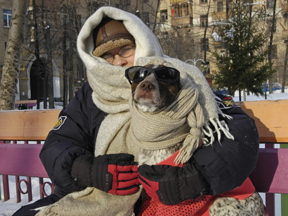 Собака в шапке ушанке и валенках