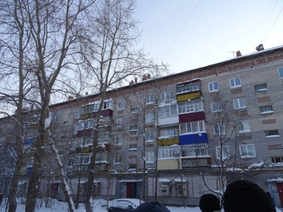 Фото: Следком Коми