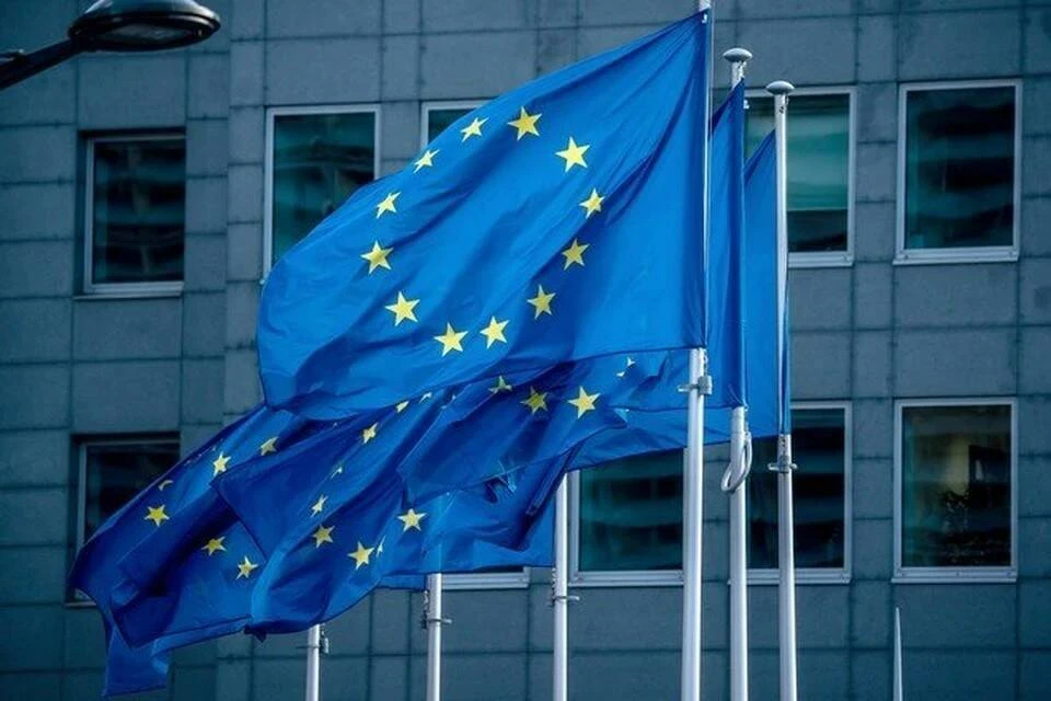 В Евросоюзе назвали сроки рассмотрения заявки Украины на вступление в ЕС