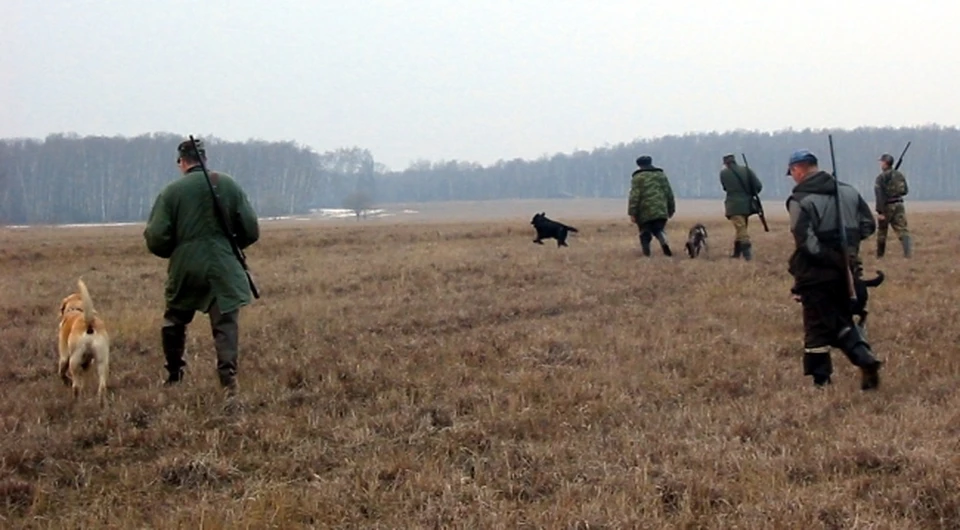 В прошлом году охотникам было выдано около 6.7 тысяч разрешений на добычу пернатой дичи