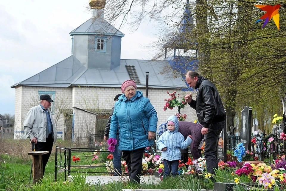 Цена на посадку деревьев и кустарников