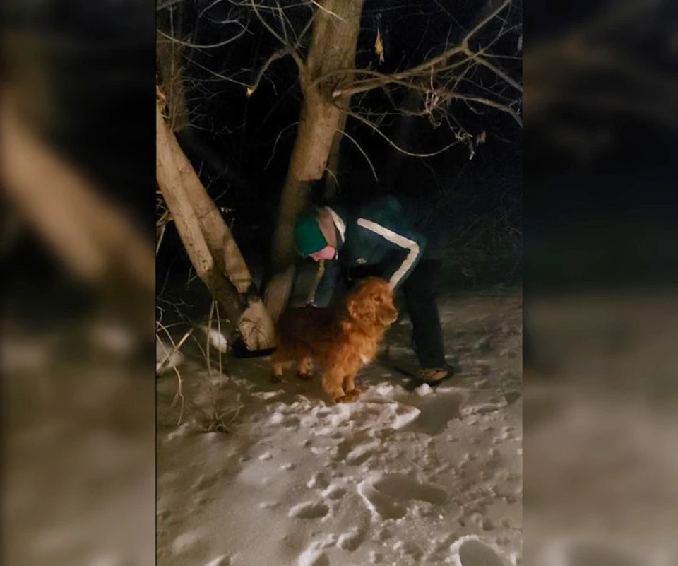 Собака без труда обнаружила тайник-закладку
