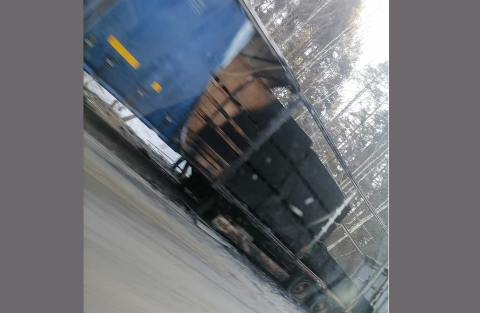 Фото: соцсети.
