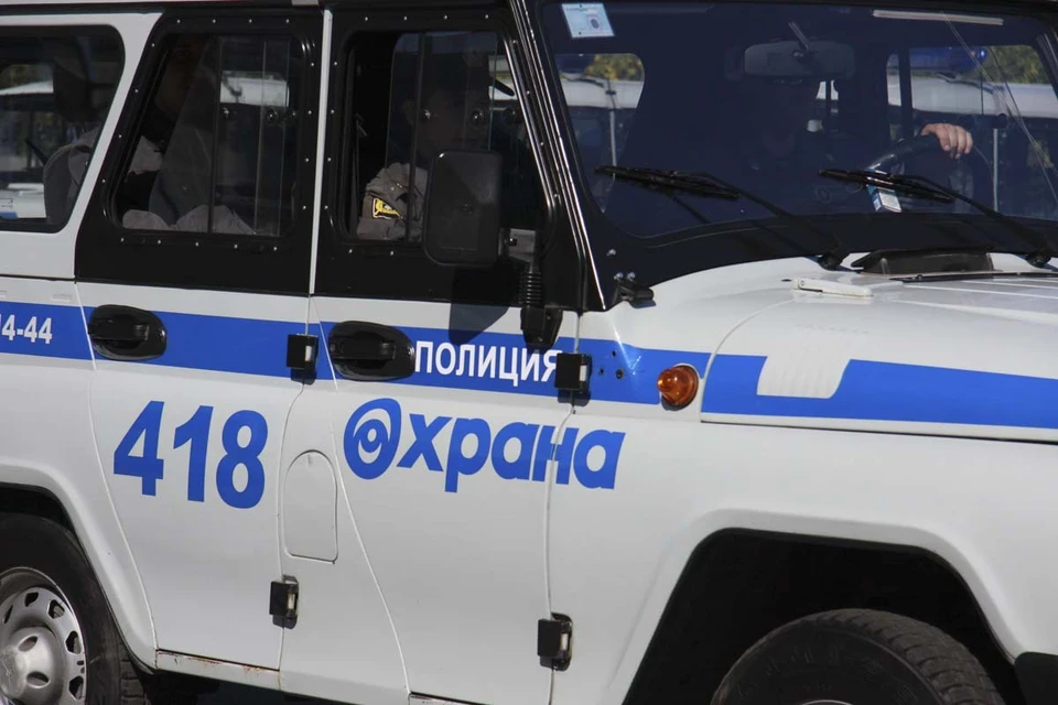 Вскоре друзей задержали