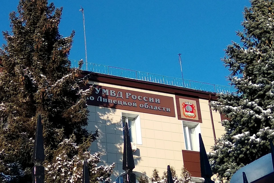 Тамбовчанка наведалась в ТРЦ Липецка и украла бытовую технику и одежду